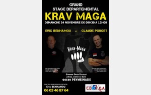 KRAV MAGA : Stage Eric BENHAMOU - Claude POUGET