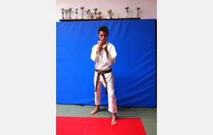 KARATE FULL CONTACT Rayane TACHI medaille d'or