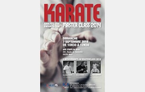 KARATE : stage master class