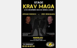 KRAV MAGA : stage Jerome Roesch Ceinture Noire 5° Dan FFKDA de Krav Maga et Entraineur des Forces Spéciales Françaises