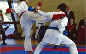 KARATE / Championnat inter regions