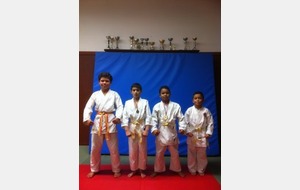 KARATE: coupe départementale P/P/B (2 podiums)