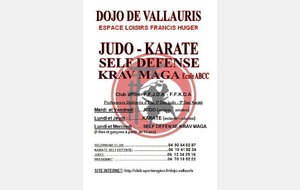 SELF DEFENSE / KRAV MAGA :  2 cours par semaine la saison prochaine