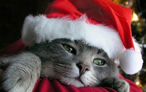 JOYEUX NOEL