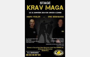SELF DEFENSE KRAV MAGA STAGE EXPERTS FEDERAUX