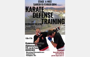 KARATE DEFENSE TRAINING  : STAGE BILICKI 9E DAN 