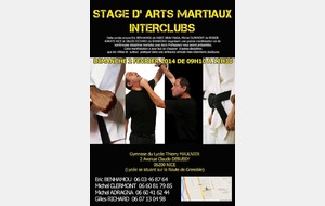 KARATE/SELF DEFENSE-KRAV MAGA : Stage interclubs