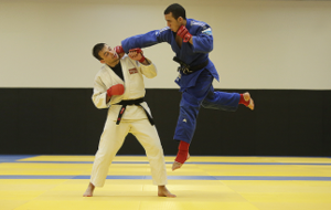 STAGE DE JUJITSU FIGHTING SYSTEM