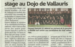 KRAV MAGA : JOURNAL NICE MATIN : &quot;Stage Eric BENHAMOU&quot; 