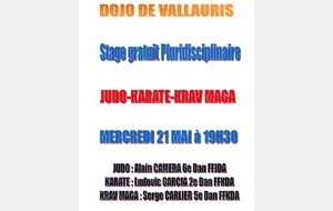 STAGE PLURIDISCIPLINAIRE AU DOJO DE VALLAURIS - JUDO-KARATE-KRAV MAGA