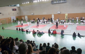 JUDO: TOURNOI DES PETITS AS 2014