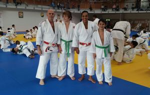 JUDO: BENJAMINS TOUR