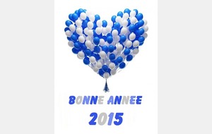 BONNE ANNEE 2015
