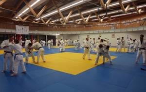 JUDO: enttrainement en commun à ST Laurent du Var