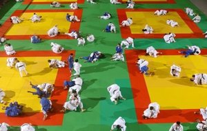 JUDO JUJITSU ENTRAINEMEENT EN COMMUN