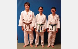 JUDO JUJITSU LES COMMISAIRES SPORTIFS