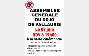 ASSEMBEE GENERALE DU DOJO DE VALLAURIS