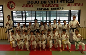 KARATE: Passage de grades Poussins, Pupilles et Benjamins