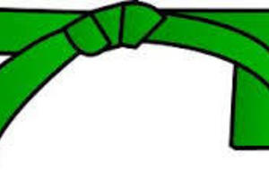 SPORTS DE COMBAT SELF-DEFENSE  DEFENSE / KRAV MAGA STAGE CEINTURE VERTE