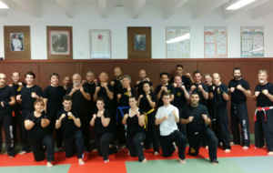 SPORTS DE COMBAT SELF-DEFENSE  DEFENSE KRAV MAGA STAGE CEINTURE VERTE