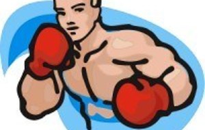 SPORTS DE COMBAT SELF DEFENSE / KRAV MAGA