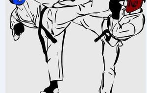 SPORTS DE COMBAT SELF-DEFENSE  DEFENSE / KRAV MAGA