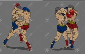 SPORTS DE COMBAT SELF-DEFENSE / KRAV MAGA