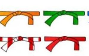 SPORTS DE COMBAT SELF-DEFENSE / KRAV MAGA