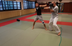 JUDO JU JITSU SELF DEFENSE  ENTRAINEMENT ESTIVAL