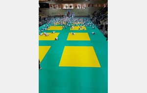 JUDO: Tournoi de Monaco