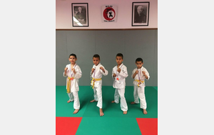 KARATE : CHAMPIONNAT DE LIGUE POUSSINS 