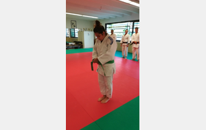 JUDO JU JITSU SELF DEFENSE MARION CEINTURE VERTE