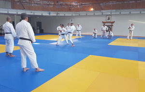 JUDO JU JITSU SELF DEFENSE STAGE KATA
