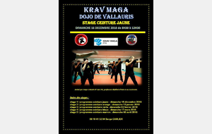 KRAV MAGA : STAGE CEINTURE JAUNE 