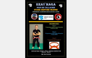 STAGE CEINTURE ORANGE KRAV MAGA