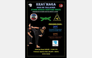 KRAV MAGA : Les stages 