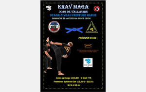 KRAV MAGA STAGE CEINTURE BLEUE