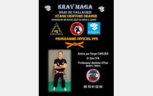 SELF DÉFENSE / KRAV MAGA - STAGE CEINTURE ORANGE 