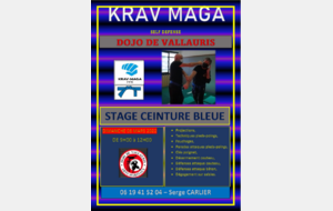 STAGE CEINTURE BLEUE KRAV MAGA