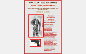 COURS KRAV MAGA - SELF DEFENSE (désarment arme réelle)