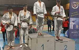 JUDO JU JITSU SELF DEFENSE:  CEINTURES DE COULEUR