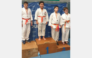 JUDO JU JITSU SELF DEFENSE  CRITERIUM BENJAMINS