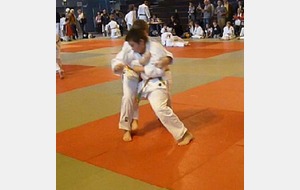 FLO (ko uchi gari)