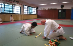  Remise de ceintures Juin 2016: Lisa, ceinture Blanche/Jaune