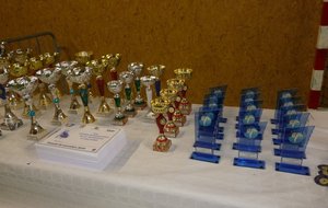 COUPES / DIPLÔMES / TROPHES