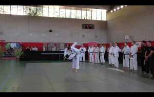 Démonstration Judo 1