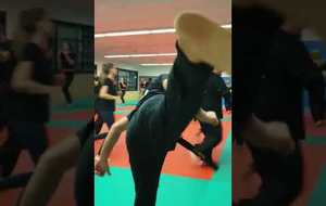 KRAV MAGA - SELF DEFENSE 2019 2020