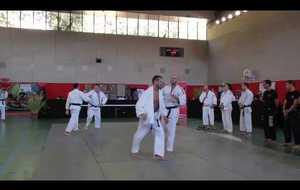 Démonstration Judo 2