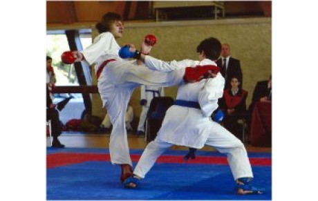 KARATE / Championnat inter regions
