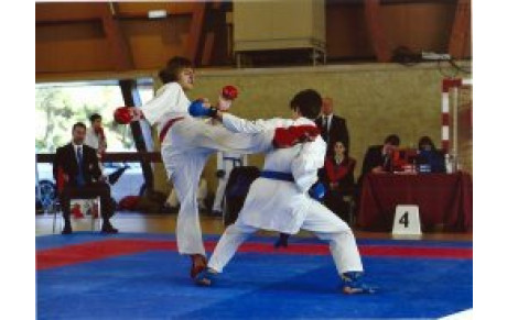 KARATE : 2e stage mensuel Karaté sportif